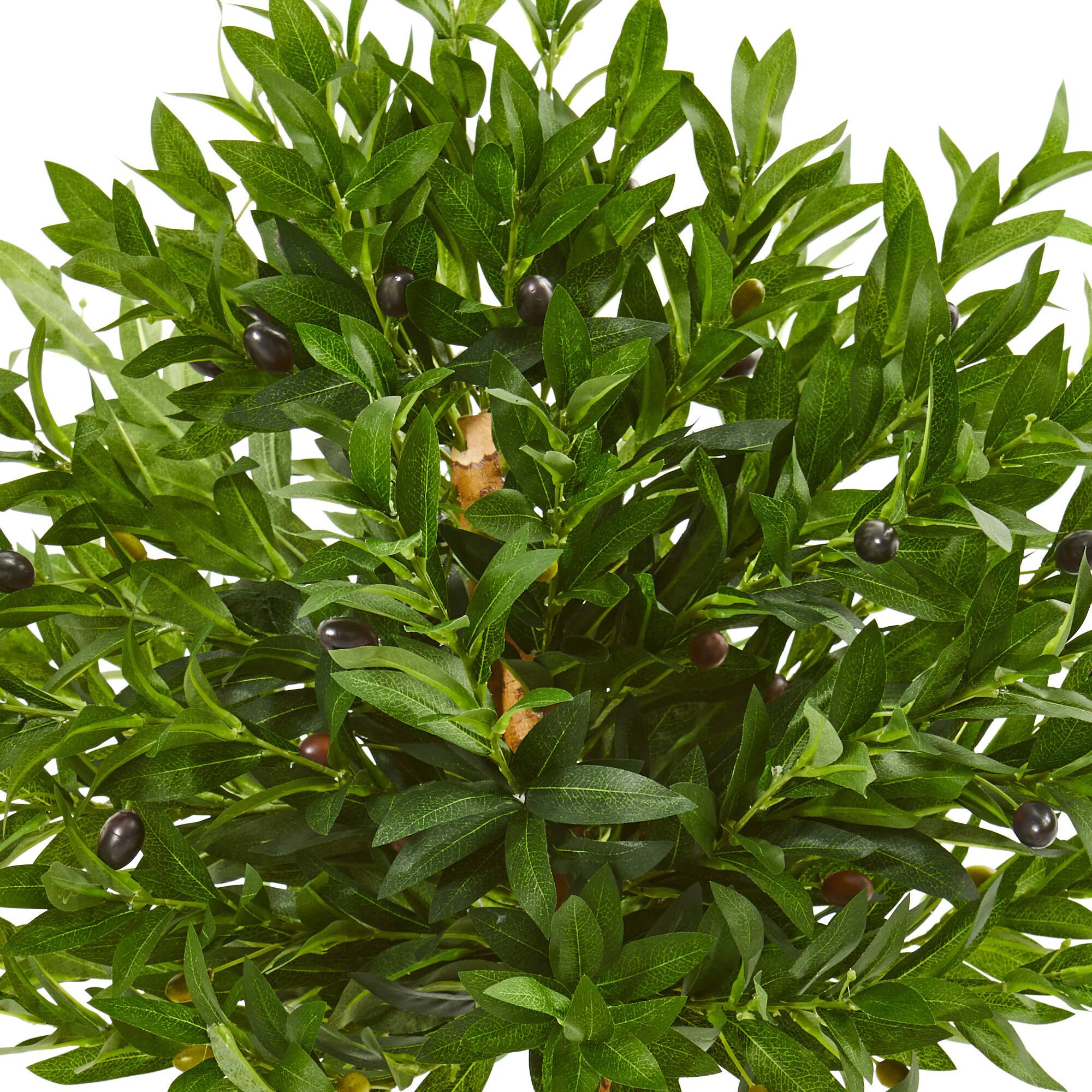 3ft. Olive Topiary Tree in Bowl Planter